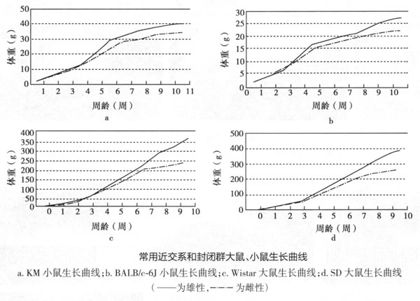 大鼠、小鼠、地鼠的日龄判断_山东省大健康精准医疗产业技术研究院-动物中心