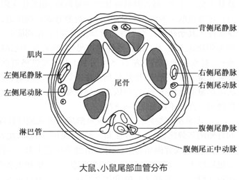 ec2da0c4a4db04d16f48ae6f063d22e7_P159%E5%9B%BE3-1-56.jpg
