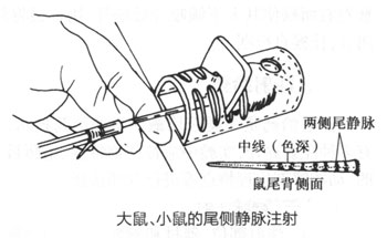 28c05e200e4644c87ee6ee78591c823e_P160%E5%9B%BE3-1-57.jpg