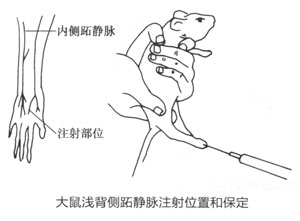 0486fa1e1d4fc8632650c4f9d3d5d732_P161%E5%9B%BE3-1-59.jpg