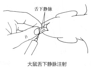 8261b0c82b11051136691a8b52b2cda1_P161%E5%9B%BE3-1-61.jpg