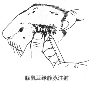 9181f5a30815e346620c5d858f1876a2_P161%E5%9B%BE3-1-62.jpg