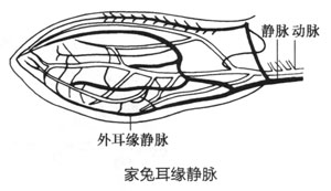 86a0efb9d156ee7b02d930b28efa00c0_P162%E5%9B%BE3-1-63.jpg