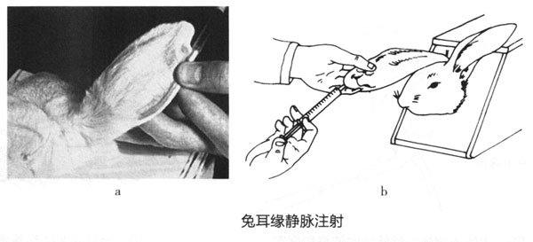 1e269a418c264d40ec3db502d544094d_P162%E5%9B%BE3-1-64.jpg