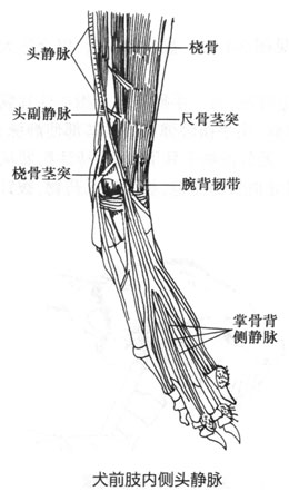 9561dd524d90821584169402e7de791e_P162%E5%9B%BE3-1-65.jpg