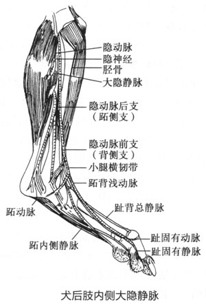 30cb1ffc8a5f9618fb66ed1145986888_P163%E5%9B%BE3-1-68.jpg