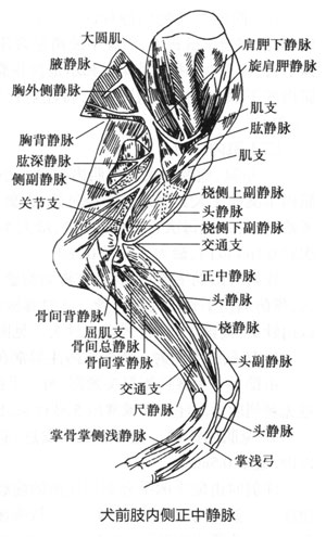 2635a8a5ea293ed7a1585b2f5dff7bc0_P163%E5%9B%BE3-1-69.jpg