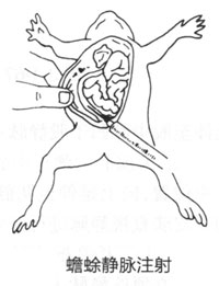 cc41e0e70c9db25702a5f2e6420c8b5a_P164%E5%9B%BE3-1-71.jpg